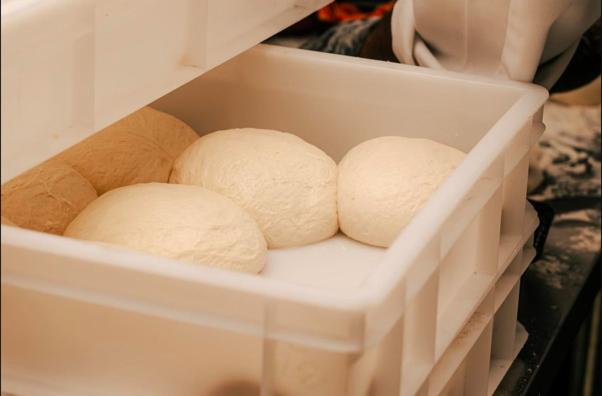 Caja de Fermentación de Masa