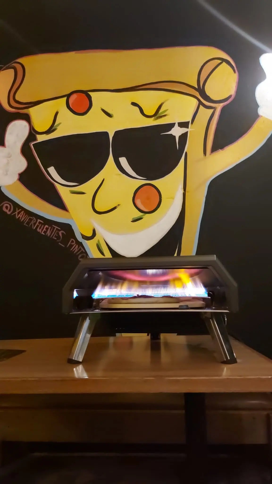 Rotis Pizza Oven 16" Portable
